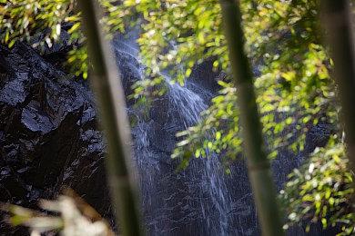 虚幻5射击游戏《黑色国度》预告 照片级逼真画面